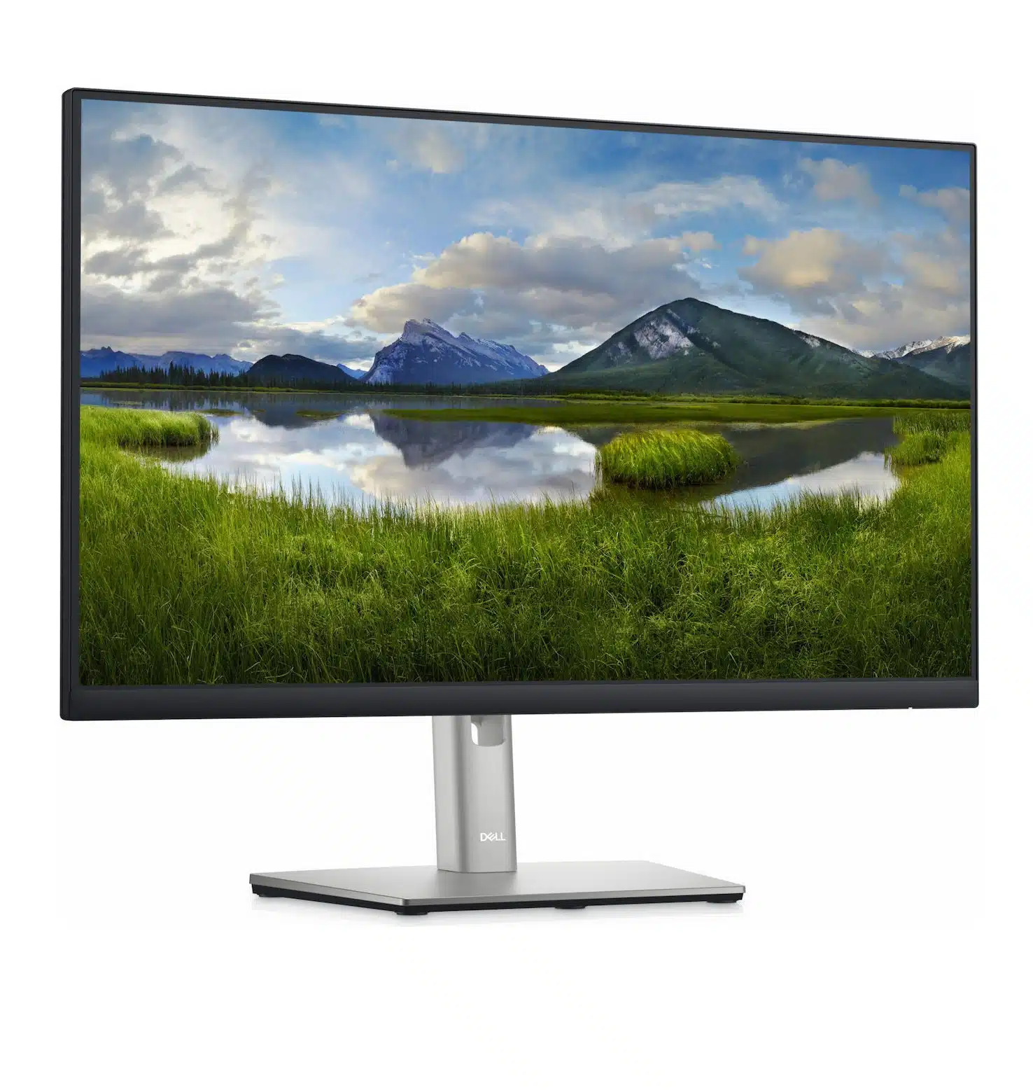 Dell P2422HE - (24")